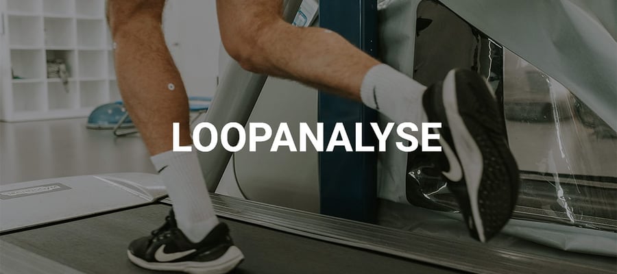 Loopanalyse
